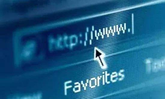 域名注册的基本原则_域名注册规则范本_域名注册规则