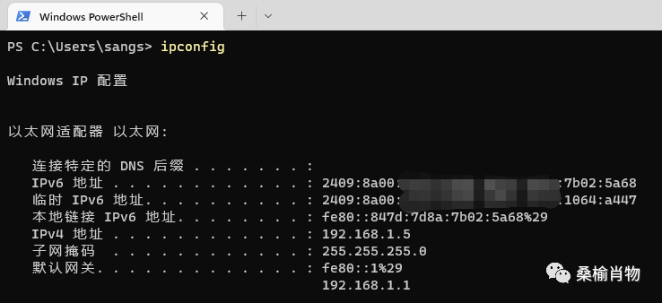 陕西域名解析动态排名怎么设置_用.NET做DDNS动态域名解析和SSL证书申请