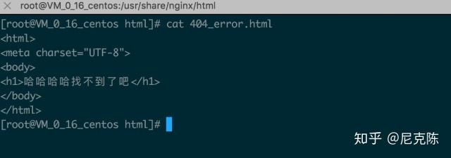etc nginx conf.d_etc nginx conf.d_etc nginx conf.d