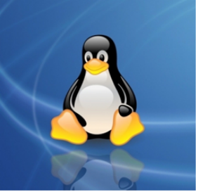 陕西linux系统操作版本有哪些_Linux 需要的常用操作,你只差这篇文章