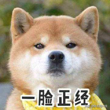 陕西域名国外注册能查到吗_盘点世界上最长的域名，最皮的还是中国网友注册的？