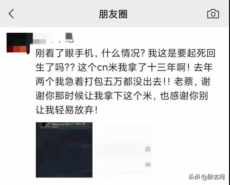 批量域名查询注册_批量查询域名_批量域名查询软件