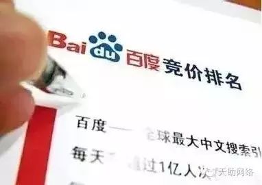 seo站内优化做些什么_筑巢SEO绝对干货分享:大调整后如何做好独立站排名