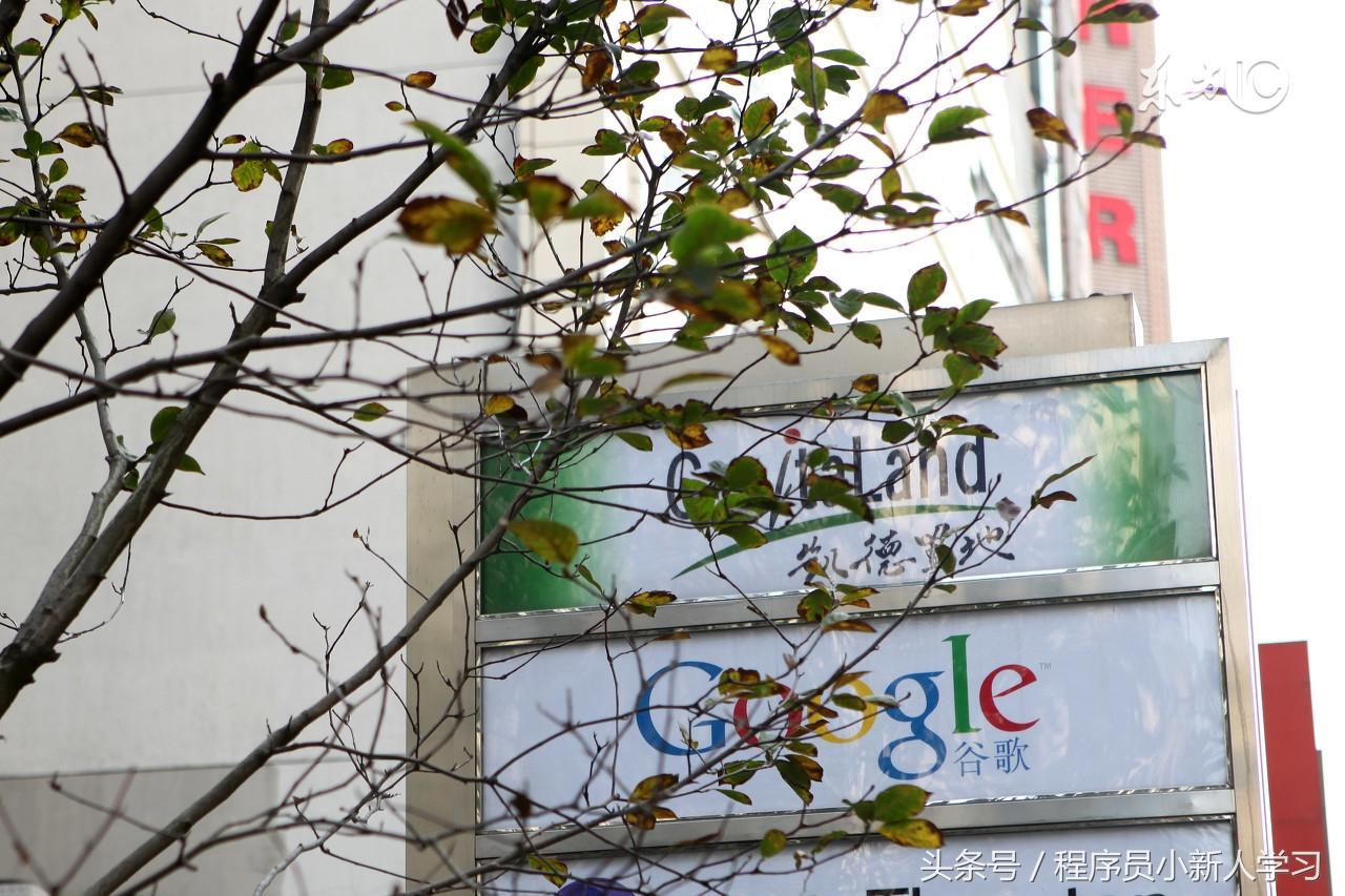 搜索引擎优化seo_seo(搜索引擎优化)_搜索引擎优化是做什么