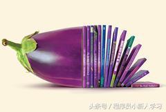 搜索引擎优化seo_搜索引擎优化是做什么_seo(搜索引擎优化)