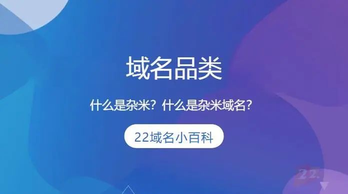 陕西域名查询是什么_域名小百科:什么是杂米域名?