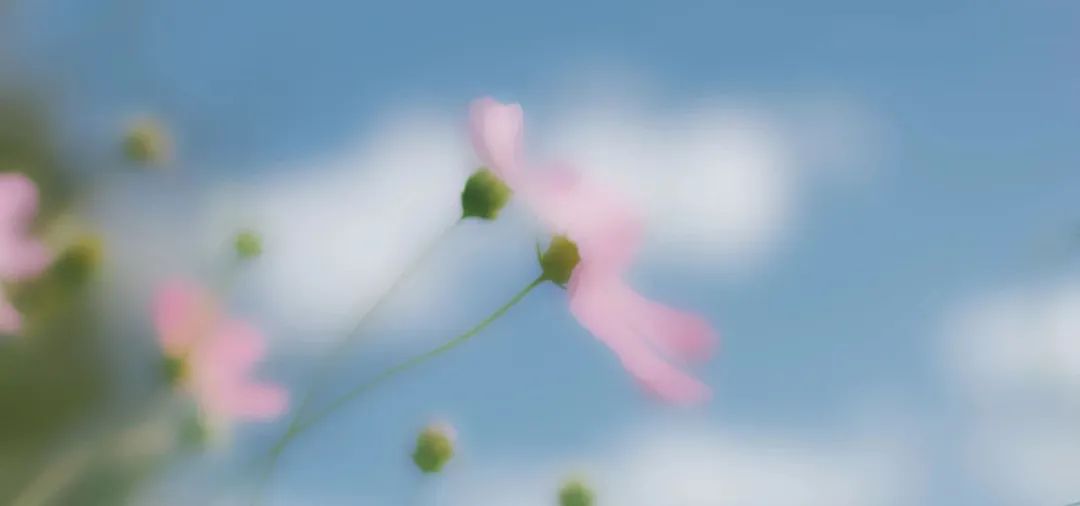 优化知识结构_seo优化知识_优化知识点