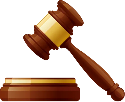 域名查询注册网站时间是多久_全国法院典型案例 | 涉废旧域名责任主体认定纠纷案(附音频)