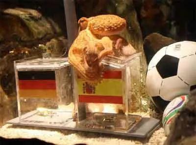 国际域名后缀是什么_国际域名后缀_国际通用域名后缀