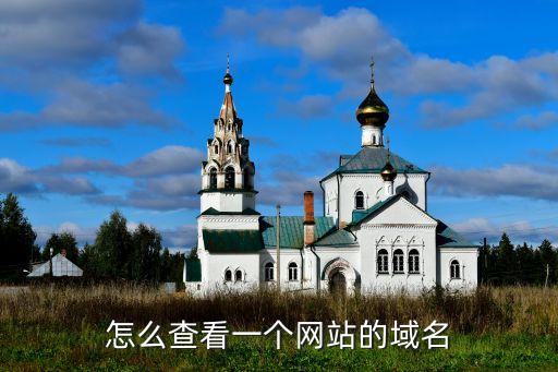 重庆域名数字_网站域名如何查询，怎么查看一个网站的域名