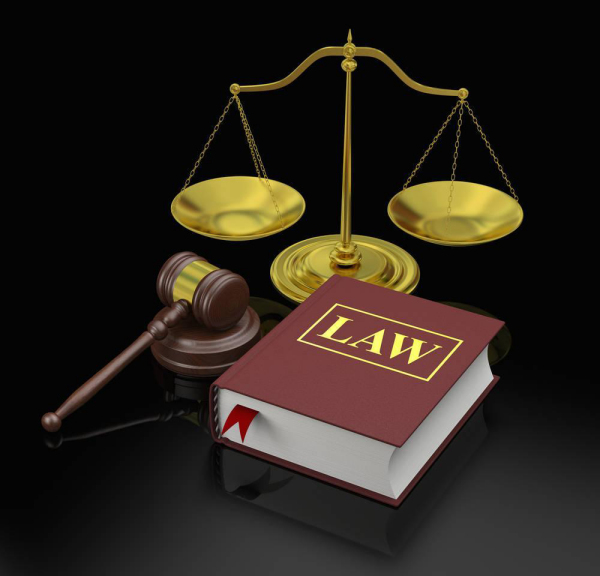 陕西中文域名注册费用标准_点商标为中国品牌数字化发展保驾护航