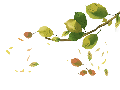 陕西侵权域名抢注是否犯法_销售NFT作品的商标侵权问题 ——以Hermès International v. Rothschild案为例