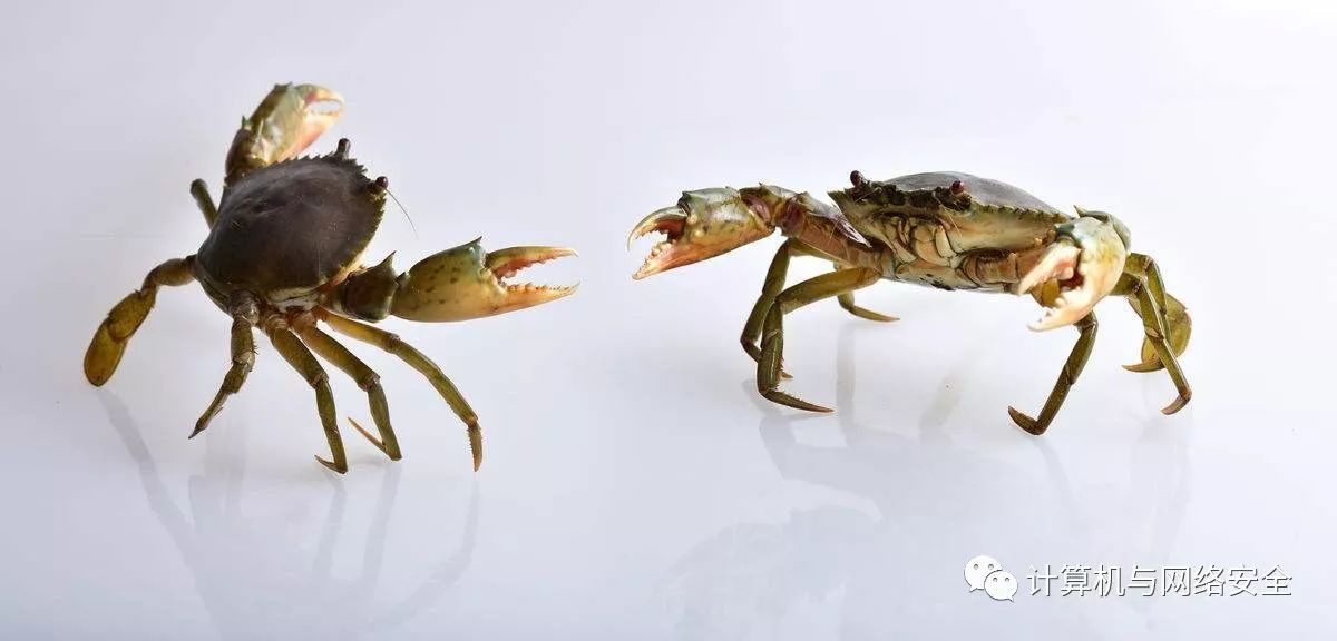 陕西域名解析服务器ip地址_域名被墙的检测查询和解决办法