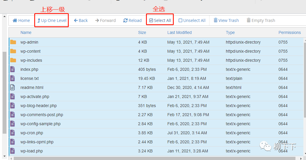 如何使用bluehost服务器建一个WordPress网站