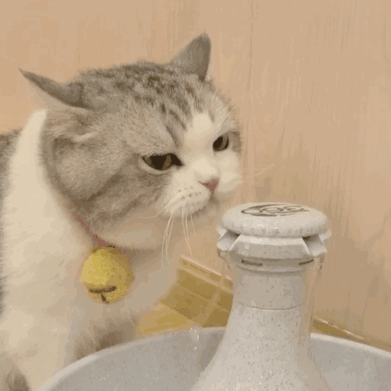 陕西域名历史信息查询_分享一个自用SEO查询助手,全网外链域名历史查询，标题辅助检测