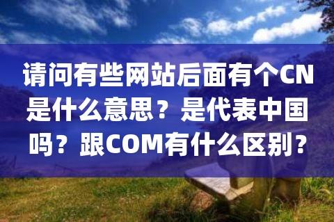 com和cn是什么意思?(探究com.cn域名后缀的演化历程与意义)