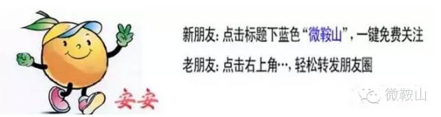 陕西域名查询注册网络异常_【便民】鞍山查