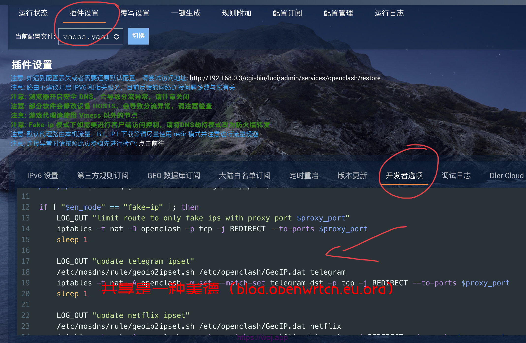 openclash设置04 开发者选项.jpg