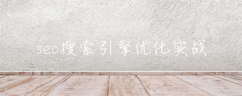 搜索引擎优化seo_seo搜索引擎优化实战