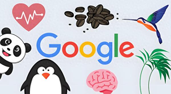 陕西_谷歌SEO：网站优化与排名提升的必备知识，适合新手和进阶用户