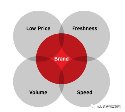 Shopify SEO主题选择_谷歌优化seo_Shopify域名选择优化