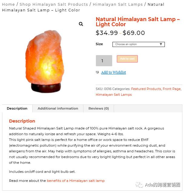 Shopify SEO主题选择_谷歌优化seo_Shopify域名选择优化