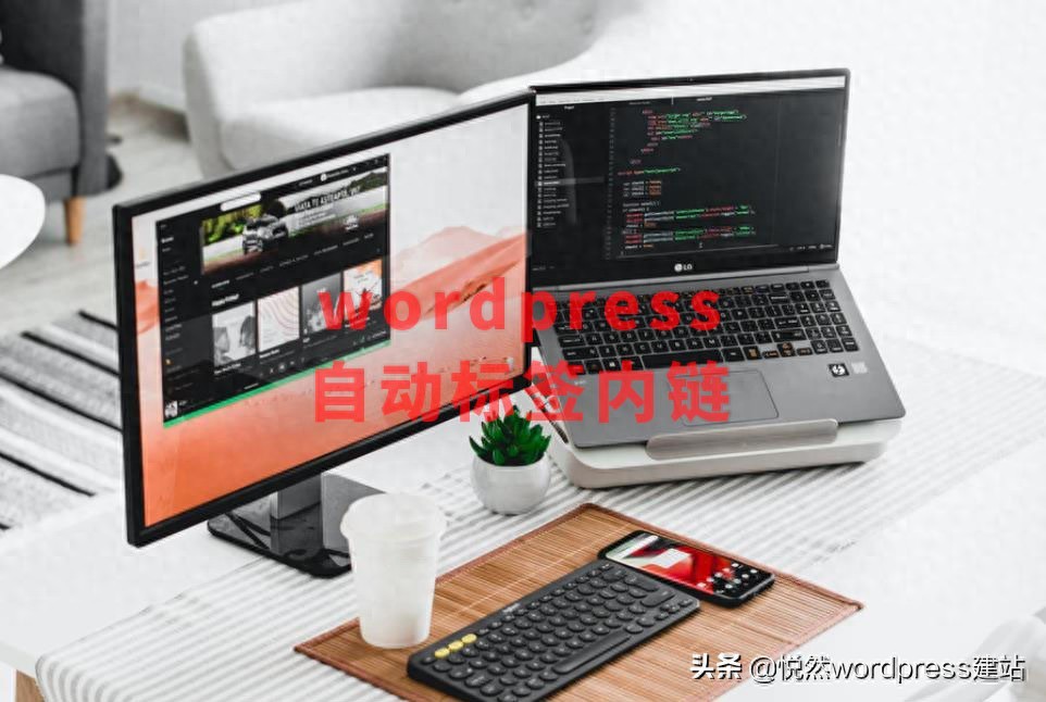 陕西WordPress Tag标签优化教程_Wordpress建站教程:网站添加自动Tag标签内链 提升SEO优化效果