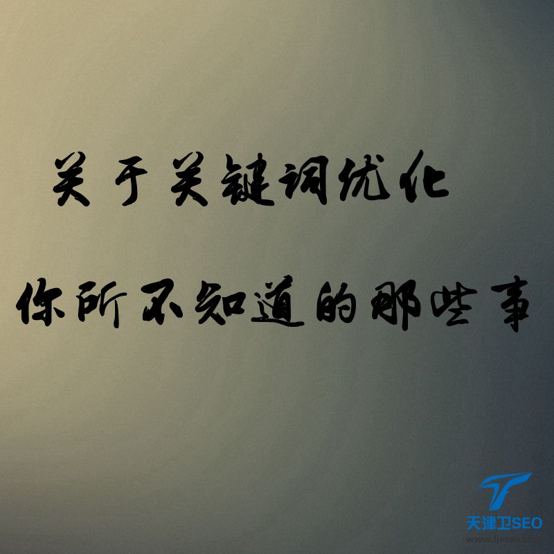 陕西天津卫SEO关键词优化策略_天津卫SEO:关于关键词优化策略你所不知道的那些事
