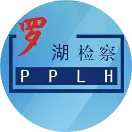 域名抢注 软件_DeepSeek仿冒网站防范_DeepSeek山寨账号识别