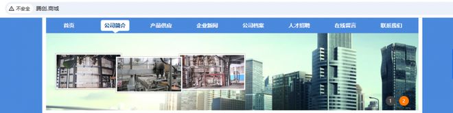 中文域名注册_知识产权保护策略_中文域名品牌建设