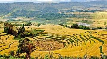 AI搜索优化服务商选择标准_无锡AI搜索优化公司靠谱性_seo搜索引擎优化是什么