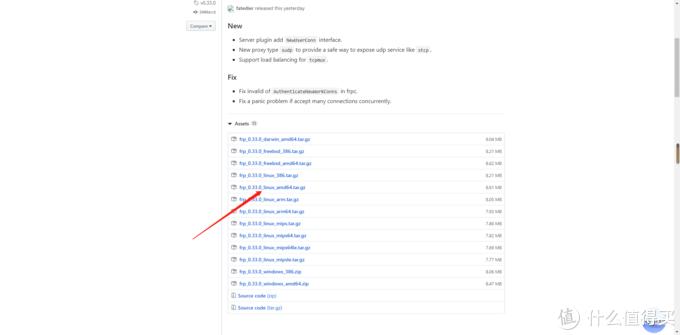内网穿透软件使用教程_Frp内网穿透配置方法_linux内网域名解析