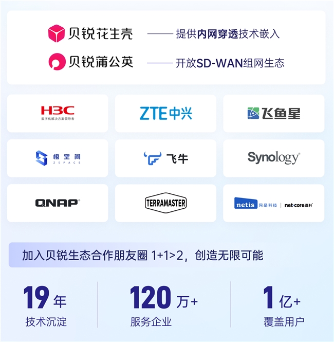 linux内网域名解析_贝锐花生壳DDNS内网穿透_远程连接生态体系