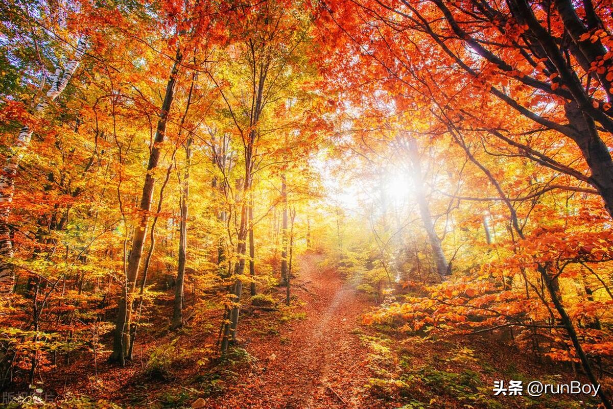 数据库时间戳数据类型_mysql时间函数_TIMESTAMP与DATETIME区别