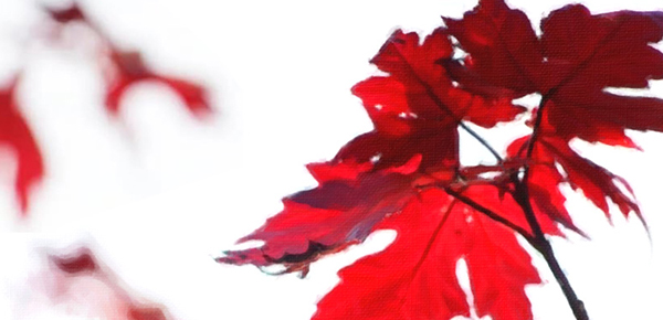 陕西python运行html文件_python怎么运行html文件