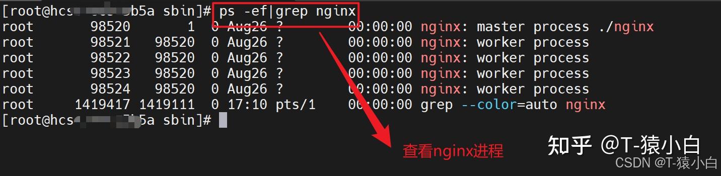 nginx安装教程 site:www.example.com_nginx 域名后不显示index_nginx离线安装教程 site:www.example.com